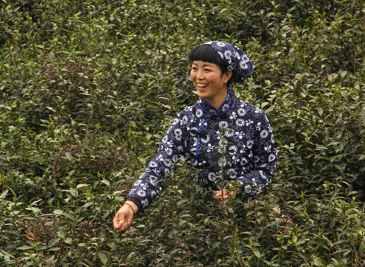 推荐9